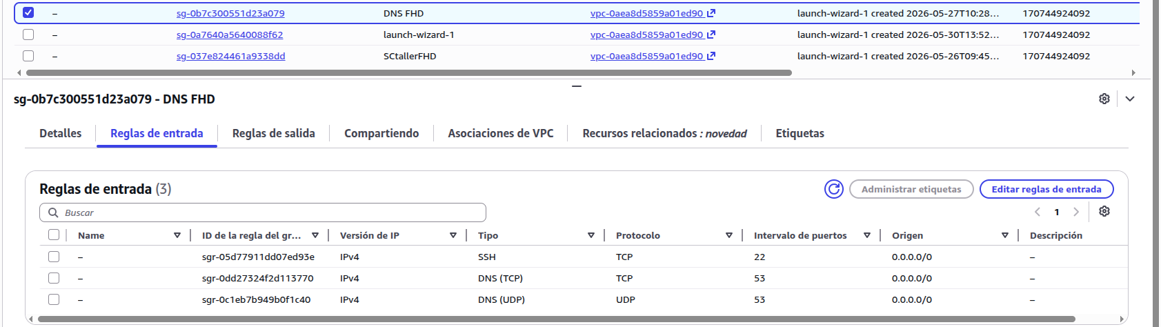 Security Group — servidor DNS